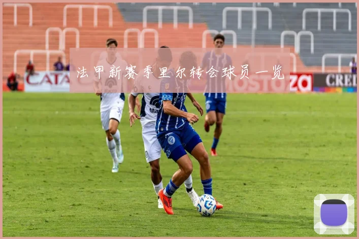 法甲新赛季里尔转会球员一览