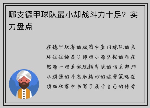 哪支德甲球队最小却战斗力十足？实力盘点