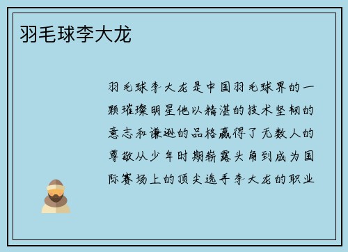 羽毛球李大龙