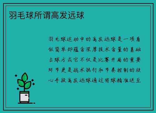 羽毛球所谓高发远球